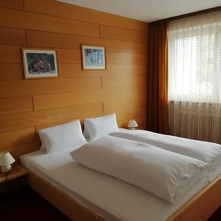 Hotell Winkler 3*